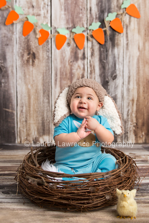 Toronto Easter Mini Photography Session Baby Chick, Bunny, Carrot Banner, Nest