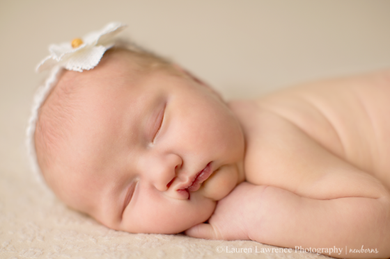 Toronto Newborn Baby Photographer 6